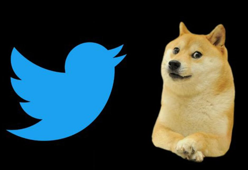Twitter　アイコン　鳥と犬　画像